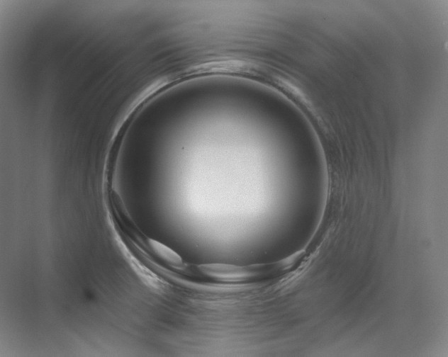 X0000074961426200609011135