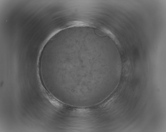 X0000074961427200609011135