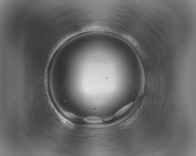 X0000074961430200609011135