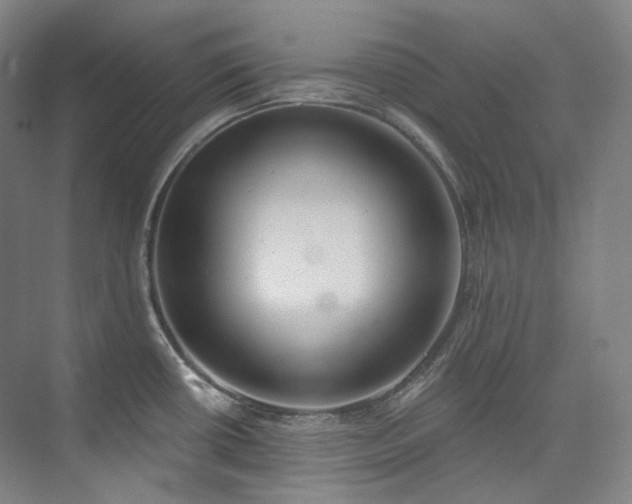 X0000074961434200609011135