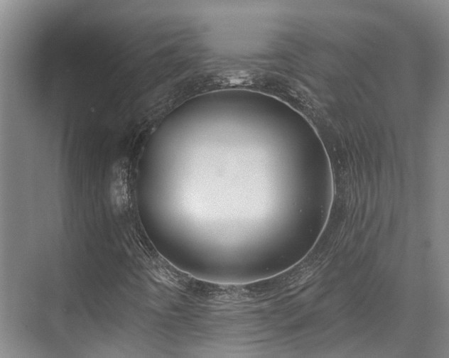 X0000074961442200609011134