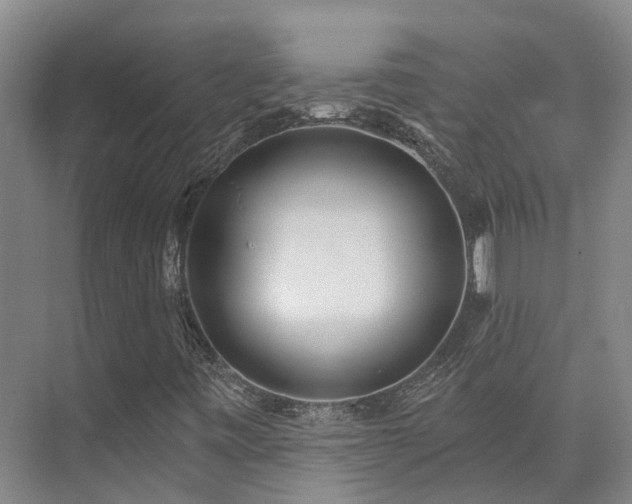X0000074961443200609011134