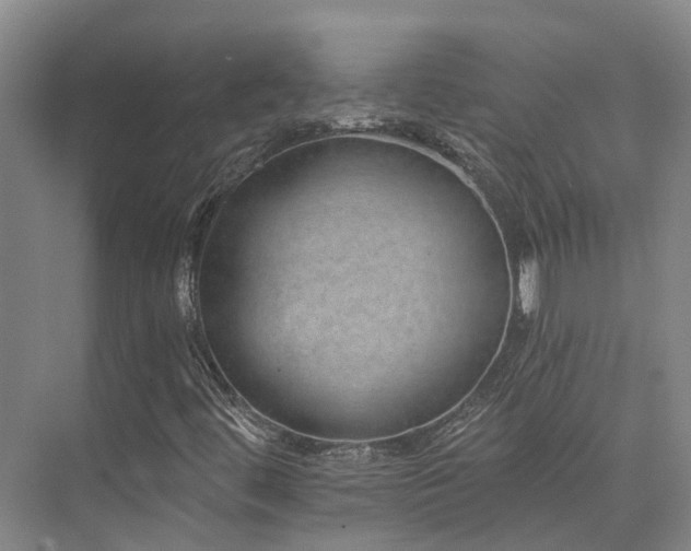 X0000074961444200609011134