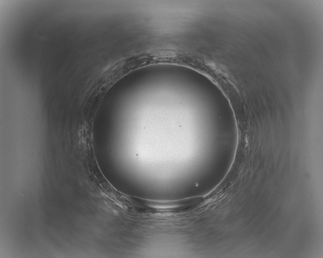 X0000074961445200609011134