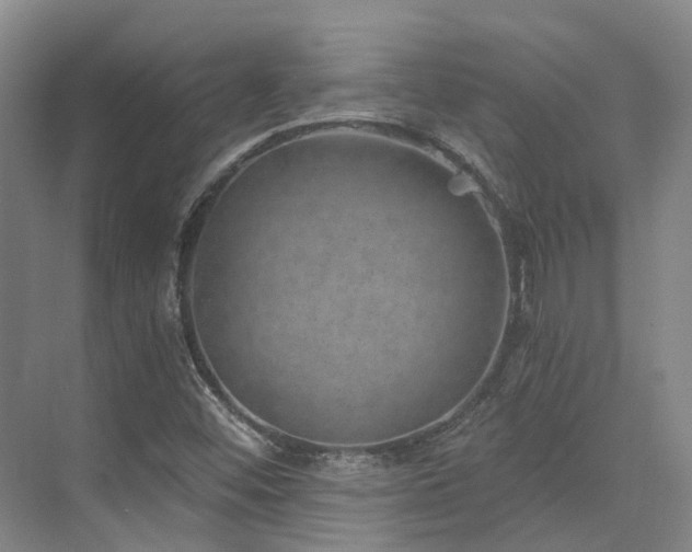 X0000074961452200609011134