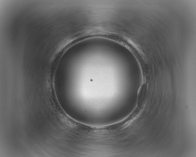 X0000074961453200609011134