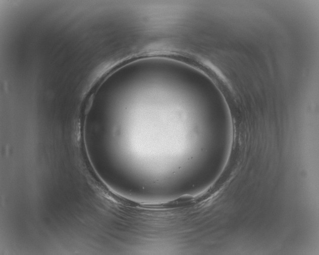 X0000074961461200609011134
