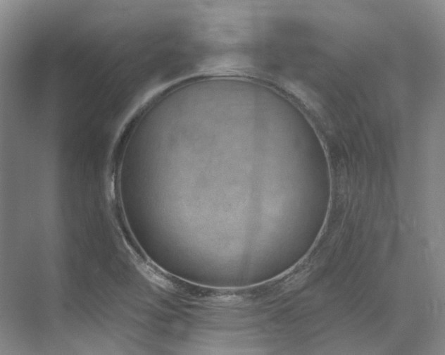 X0000074961462200609011134