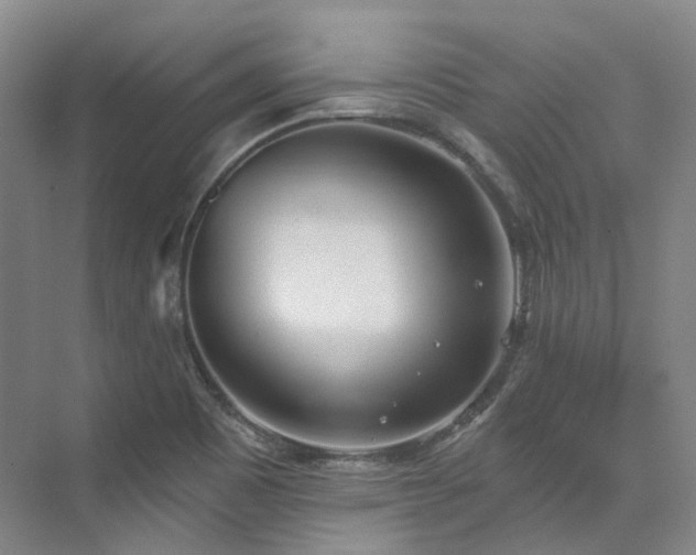 X0000074961465200609011134