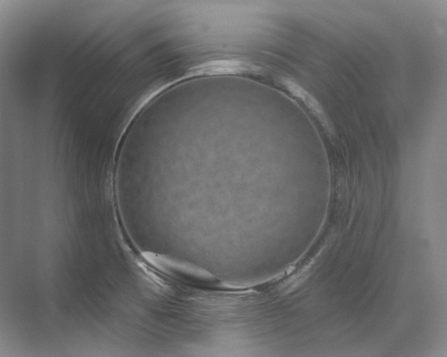 X0000074961473200609011134