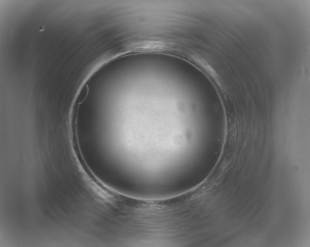 X0000074961475200609011133