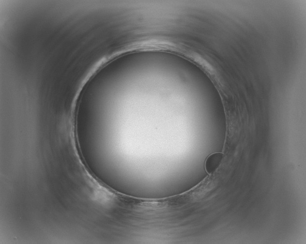 X0000074961478200609011133