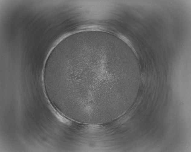 X0000074961482200609011133