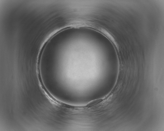 X0000074961485200609011133