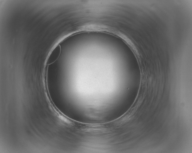 X0000074961486200609011133