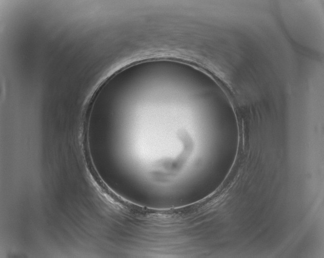 X0000074961500200609011133