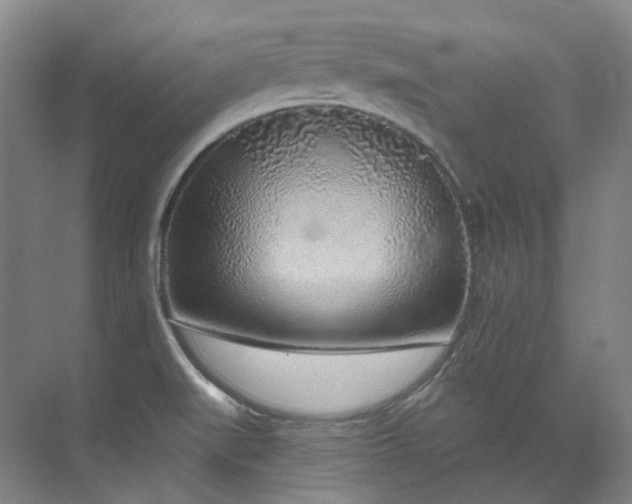 X0000074961519200609011133
