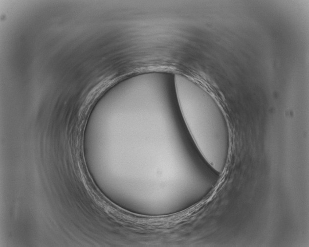 X0000074960001200609081453