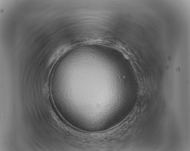 X0000074960002200609081453