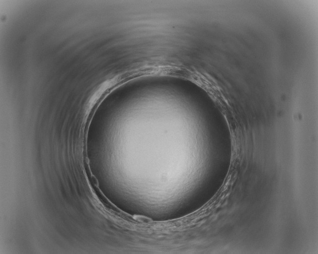 X0000074960003200609081453