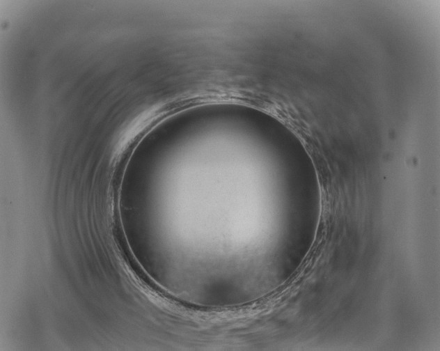 X0000074960005200609081453