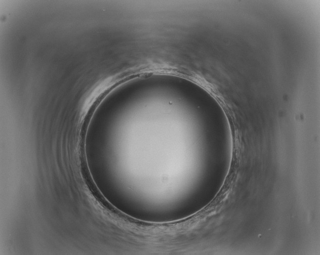 X0000074960007200609081452