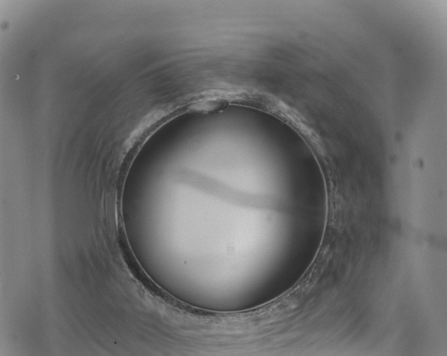 X0000074960011200609081452