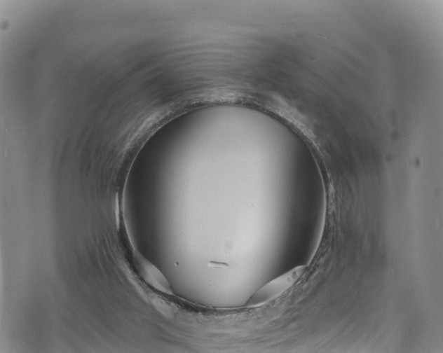 X0000074960013200609081452