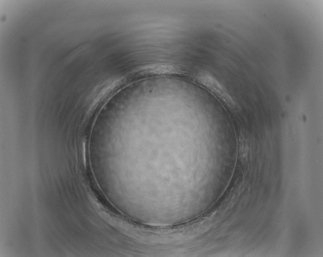 X0000074960014200609081452