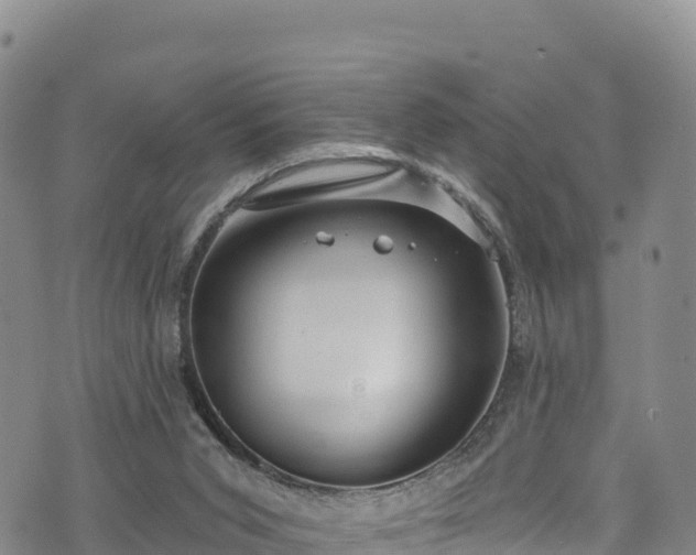 X0000074960015200609081452