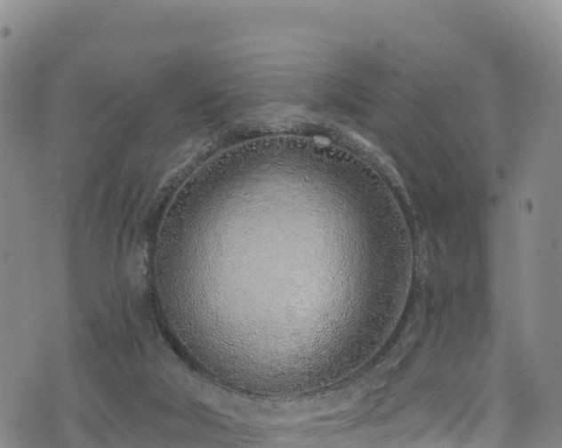 X0000074960018200609081452