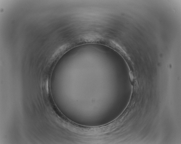 X0000074960019200609081452