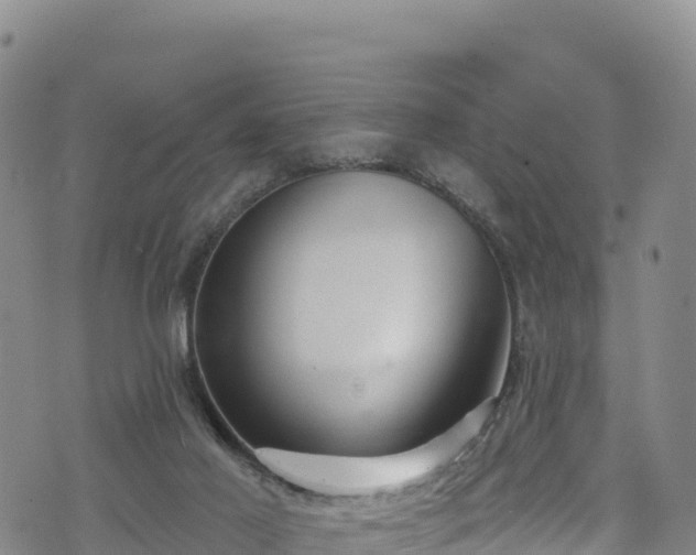 X0000074960021200609081452