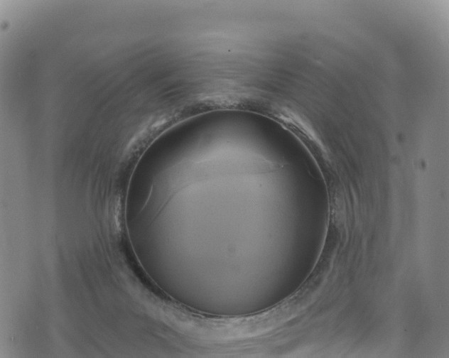 X0000074960023200609081452