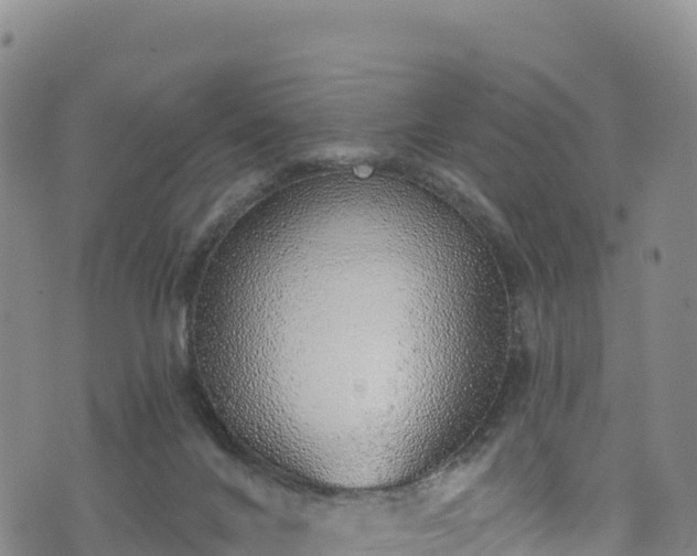 X0000074960024200609081452