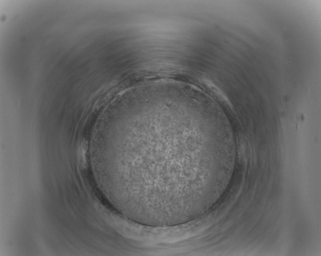 X0000074960026200609081452