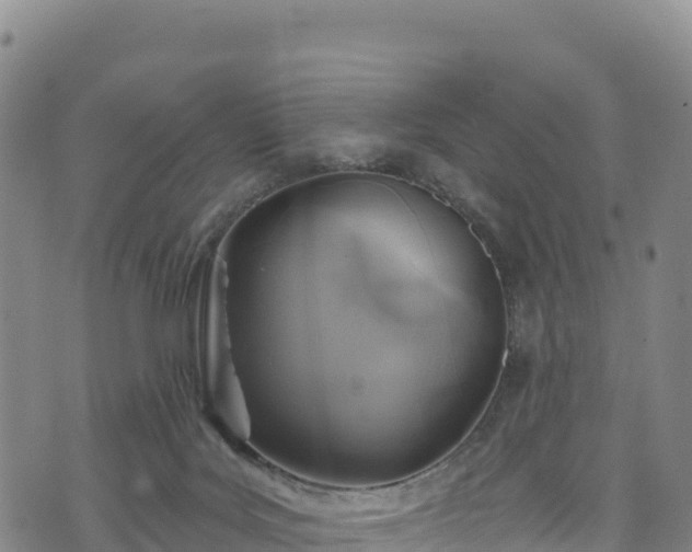 X0000074960027200609081452