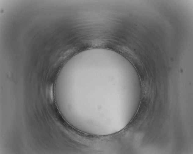 X0000074960028200609081452