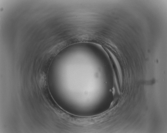 X0000074960029200609081452