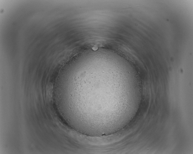 X0000074960030200609081452