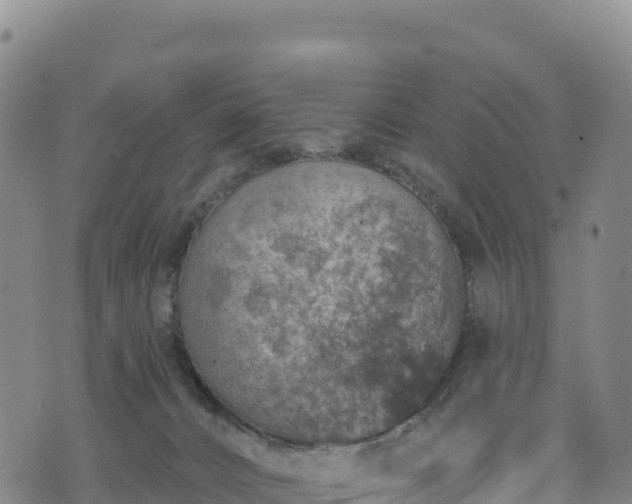 X0000074960032200609081452