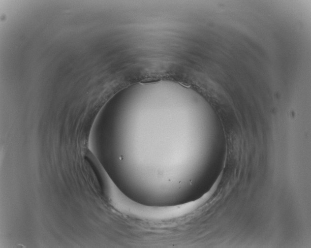 X0000074960033200609081452