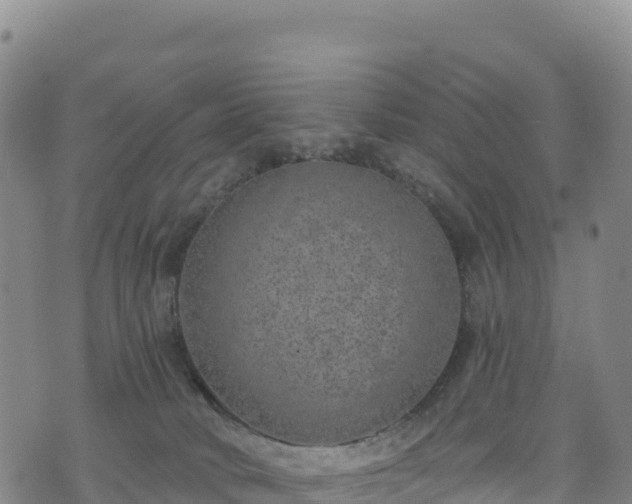 X0000074960034200609081452