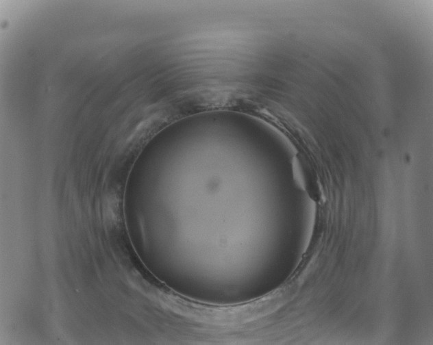 X0000074960035200609081452