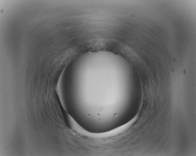 X0000074960037200609081452