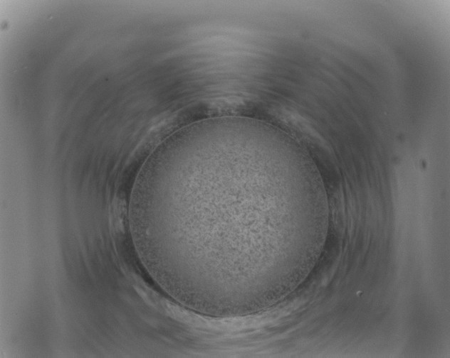 X0000074960038200609081452