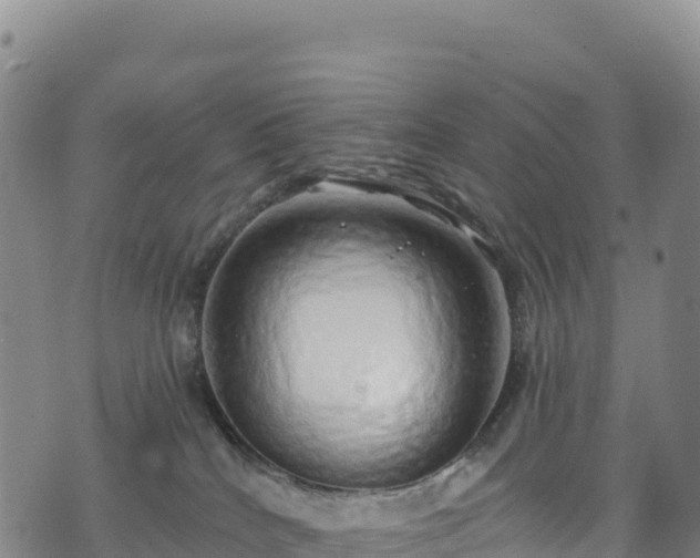 X0000074960040200609081452