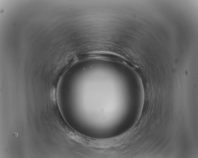 X0000074960041200609081452