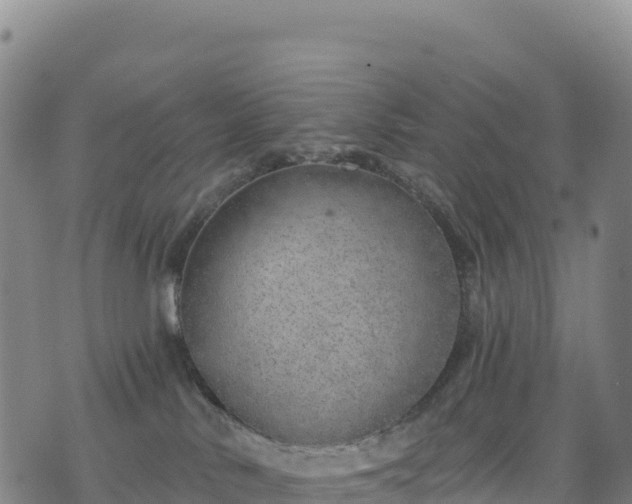 X0000074960042200609081452