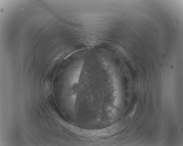 X0000074960043200609081452